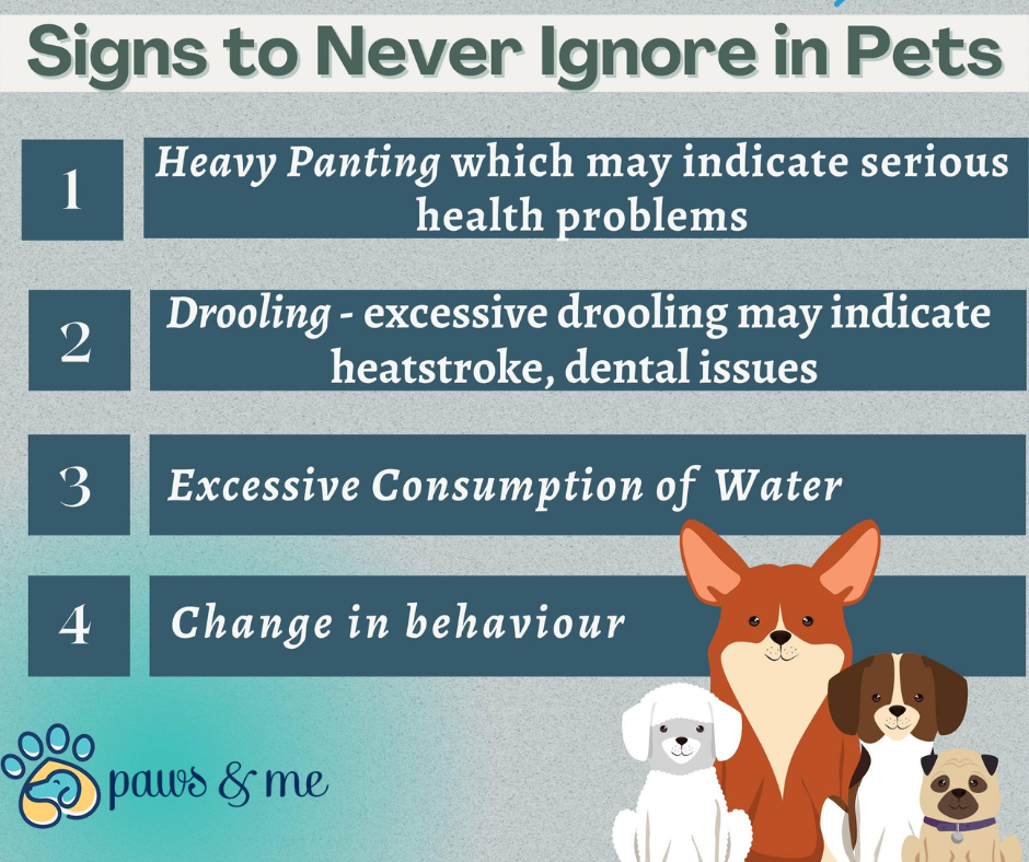 Signs to Never Ignore Pet Dog Sickness