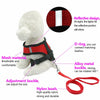 1Set Breathable Dog Leash Pet Harness  - Paws and Me