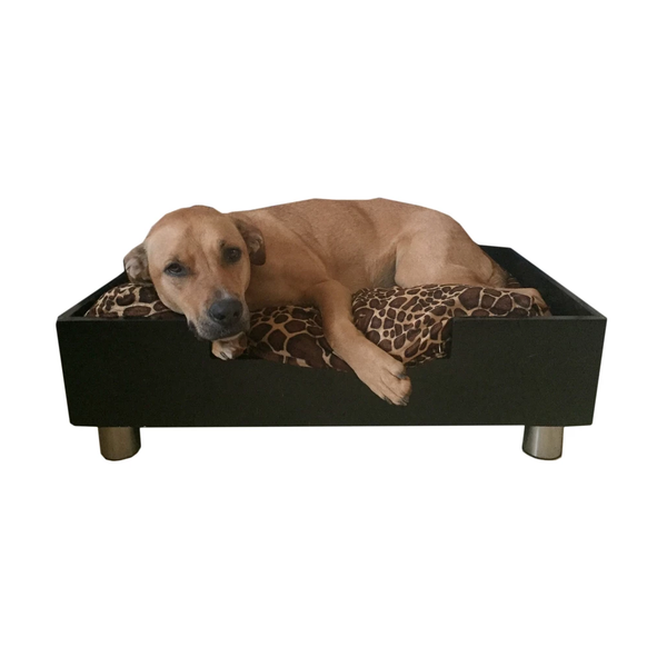 Royal Modern Cozy Pet Bed Low to the Ground Dog or Cat Bed - Paws and Me