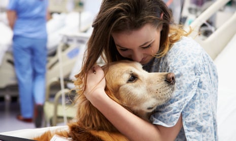What You Should Know About Your Dog's Health