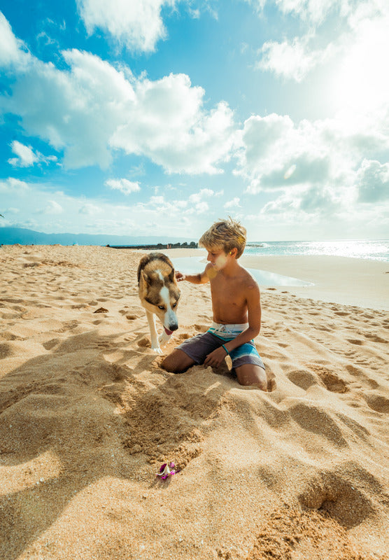 How to Have Happy Days Out with Your Dog