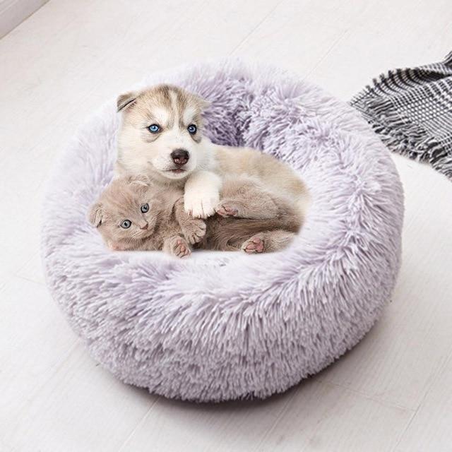 Comfy Calmin Pet Bed