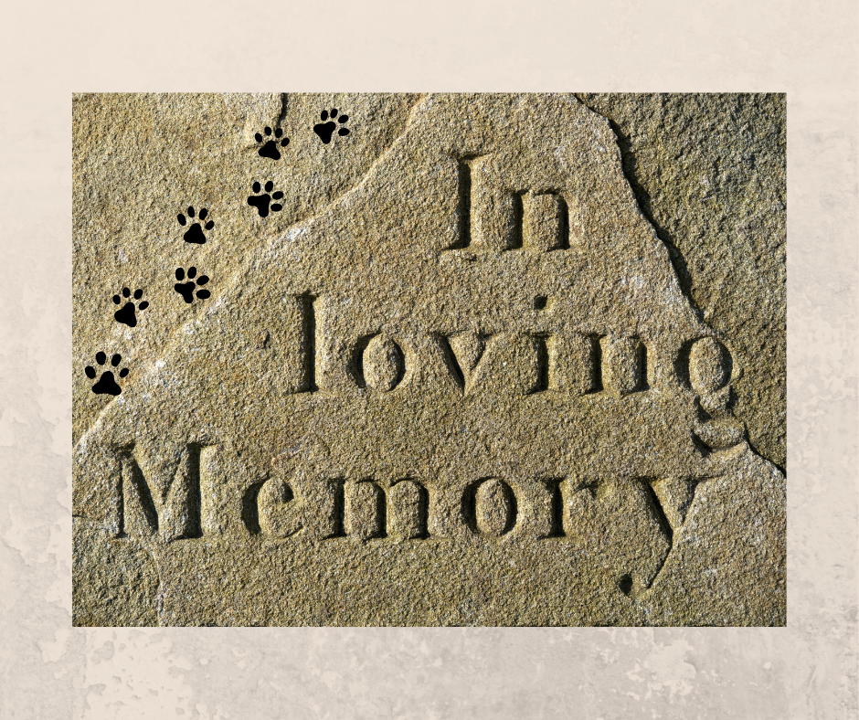 What You Need to Know About Pet Bereavement