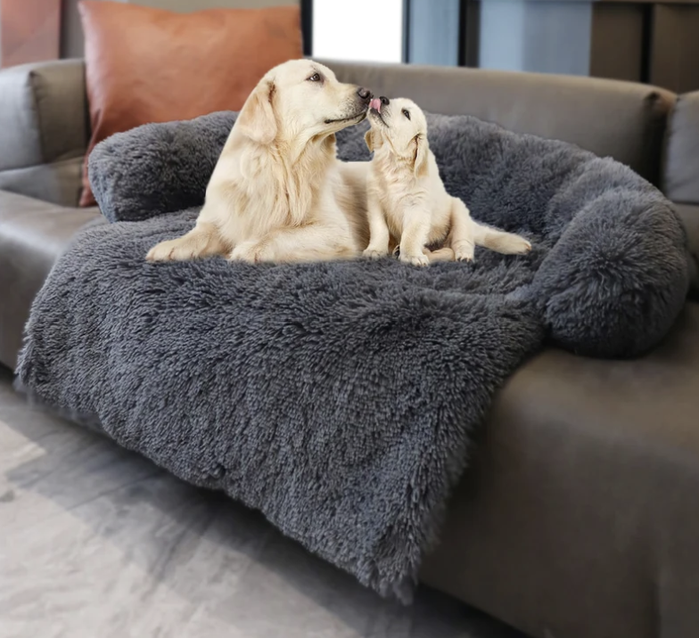How to Buy Small Dog Beds