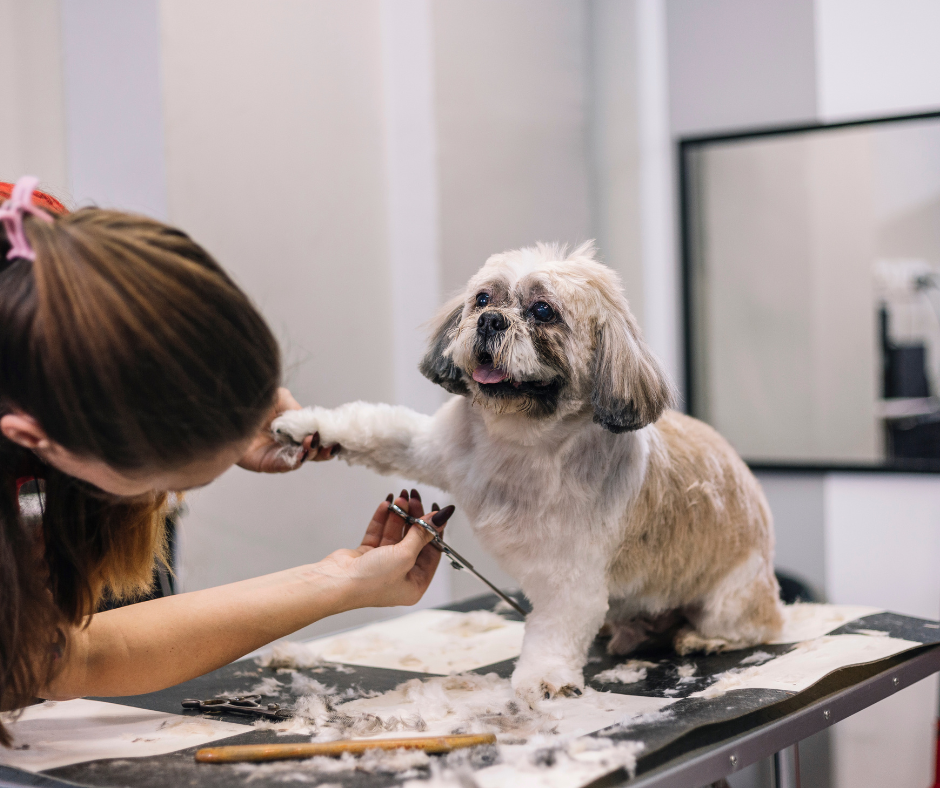Grooming Products For Pets
