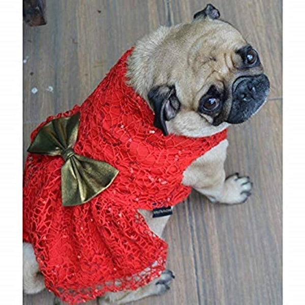 Red Spider Net Dress for Dog, Cat and Puppies