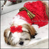 Red Spider Net Dress for Dog, Cat and Puppies