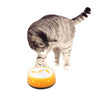 Cat Bowl Orange Love - AFP Kitten Pet Food Water Feeder- Paws and Me