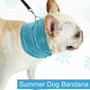 Instant Cooling Dog Bandana Scarf for Small dogs | Bulldogs | Frenchie