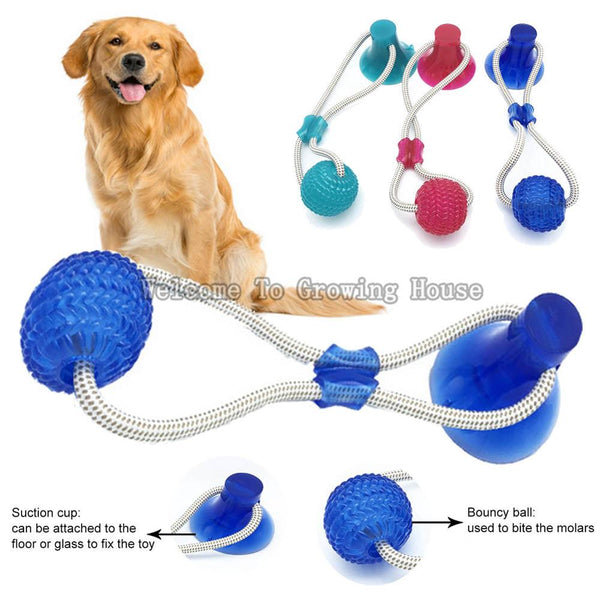 Interactive fun Pet toy with suction cup
