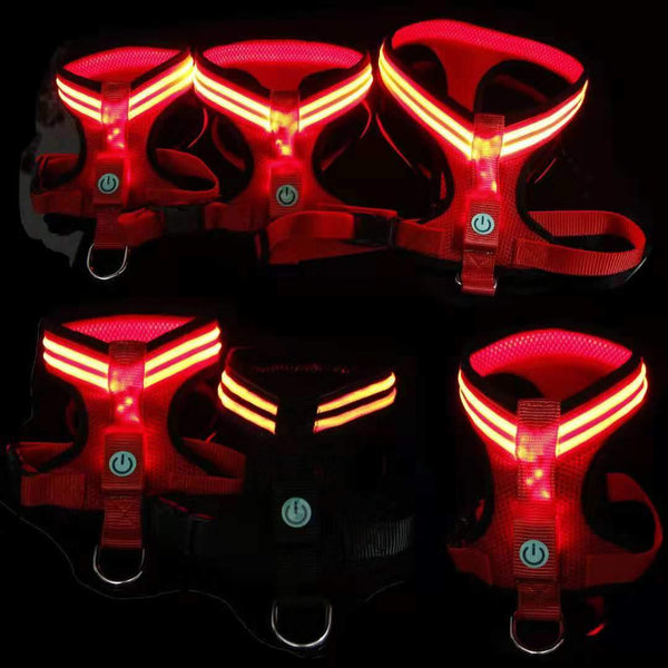 Led Dog Harness - Paws and Me
