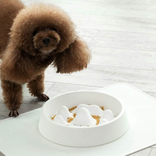 Pet Slow Feeder Bowl - Easy to Clean Pet Feeder