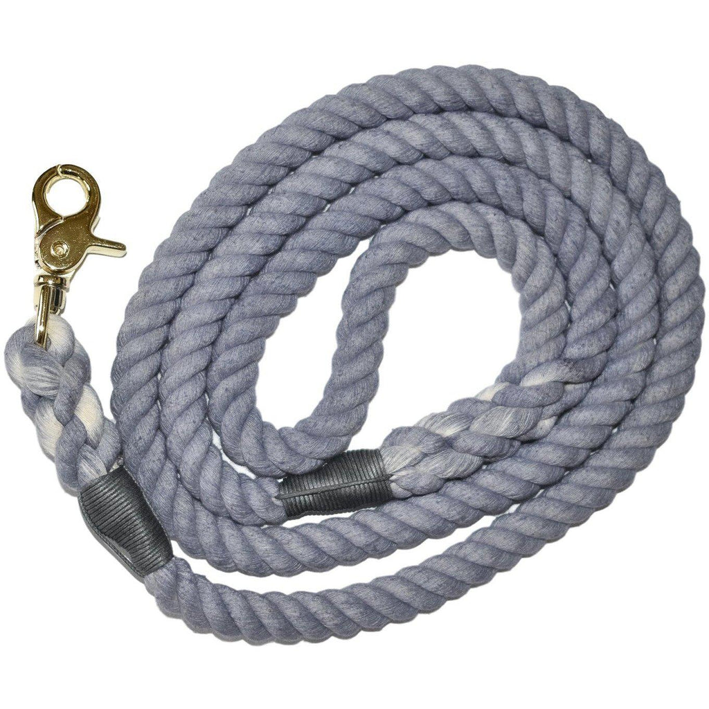 50 Dogs of Gray - Dog Leash