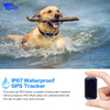 New Arrival Waterproof Pet Collar GSM WIFI LBS Mini Light GPS Tracker for Pets | Dogs | Cats