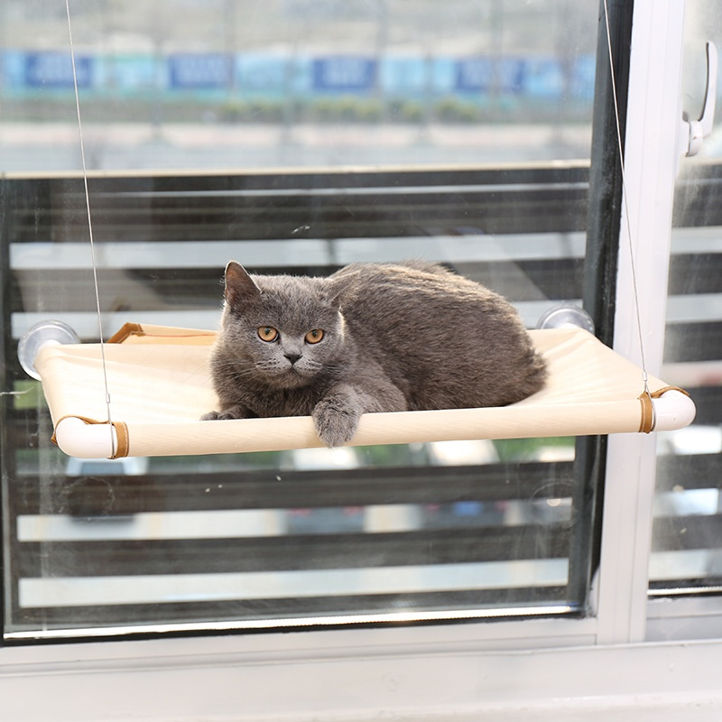Cat Window Bed To Ease Your Cat's Anxiety - Paws and Me