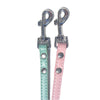 Classic Dog Leads - Blue, Small