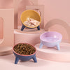15° Tilt Cat Feeding Bowls | An Orthopedic Solution For Your Cats.