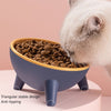 15° Tilt Cat Feeding Bowls | An Orthopedic Solution For Your Cats.